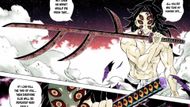 The true form of Kokushibo's sword (Image Source: Shueisha)